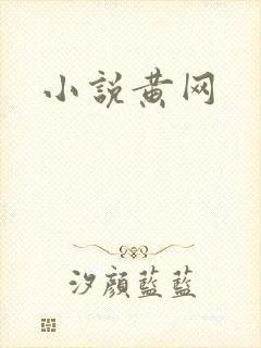 小说黄网