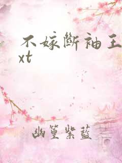 不嫁断袖王爷txt
