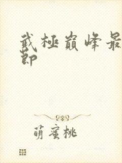 武极巅峰最新章节