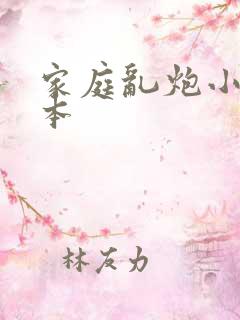 家庭乱炮小说全本