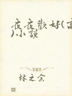 夜夜欢好(高h)小说