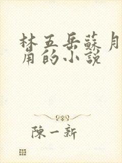 林五岳苏月灵主角的小说