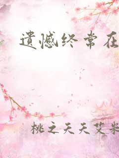 遗憾终常在小说