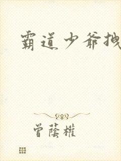 霸道少爷拽上我