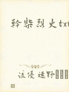 干柴烈火txt