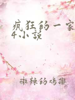 疯狂的一家PS4小说