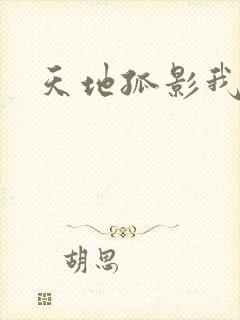 天地孤影我独行