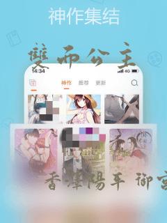 双面公主：结局+番外