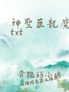 神圣巨龙魔法师txt