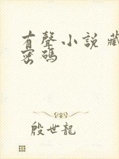 有声小说 藏地密码