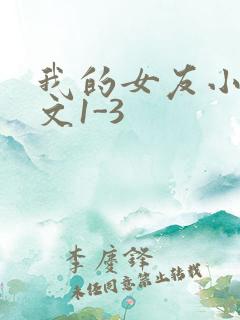 我的女友小洁全文1-3