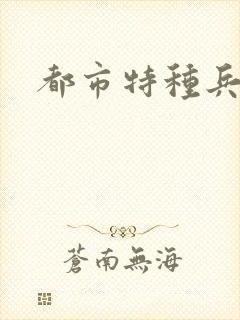 都市特种兵任天