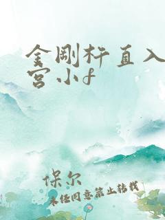 金刚杵直入莲花宫小f