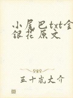 小尾巴txt金银花原文