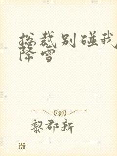 总裁别碰我 韩降雪