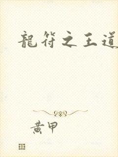 龙符之王道天下