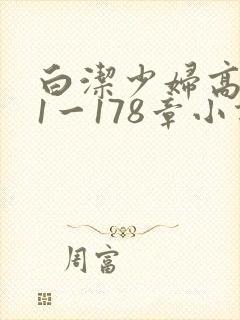 白洁少妇高义第1一178章小说