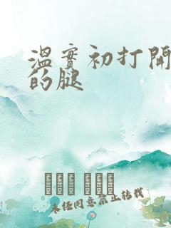 温实初打开眉庄的腿