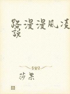 路漫漫风凌轩小说