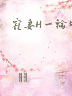 宠妻H一轮明月
