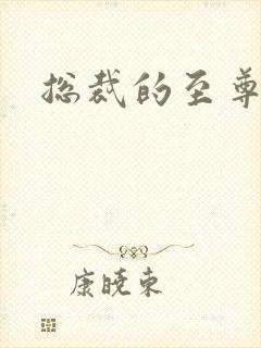 总裁的至尊前妻