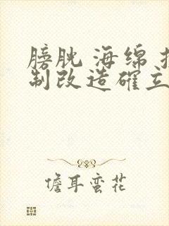 膀胱 海绵 控制改造确立m