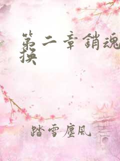 第二章销魂的交换