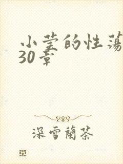 小莹的性荡生活30章