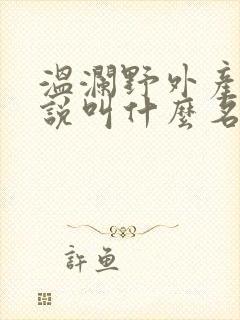 温澜野外产子小说叫什么名字