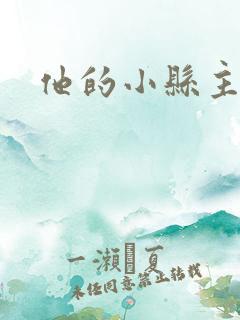 他的小县主