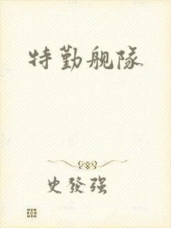 特勤舰队