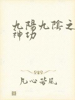 九阳九阴之阴阳神功