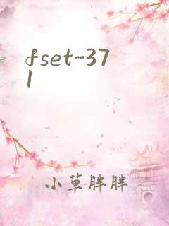 fset-371