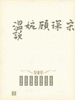 温婉顾琛宋芝小说