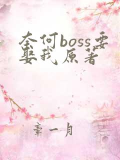 奈何boss要娶我原著