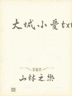 大城小爱txt