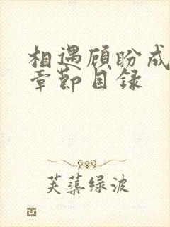 相遇顾盼成欢全章节目录