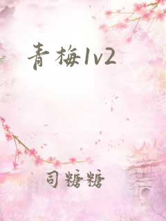 青梅1v2