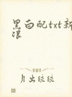 黑白配txt新浪