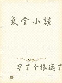 氪金小说