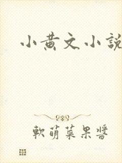 小黄文小说