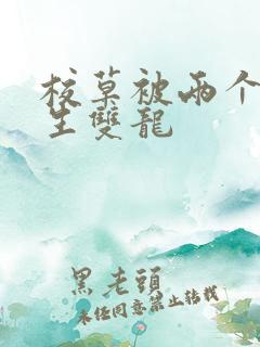 校草被两个体育生双龙