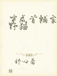 穿成首辅家的小野猫