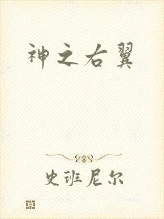 神之右翼