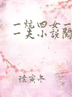 一炕四女一共侍一夫小说阅读
