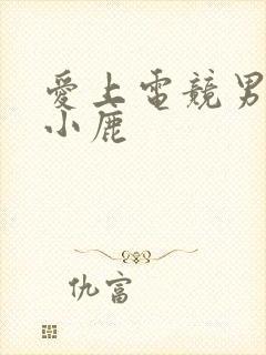 爱上电竞男神林小鹿