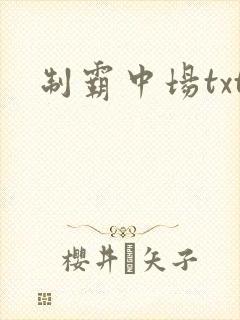 制霸中场txt