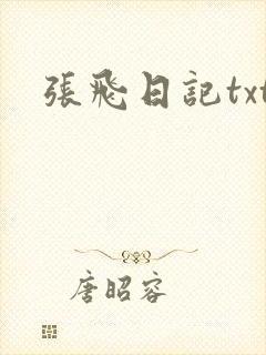 张飞日记txt