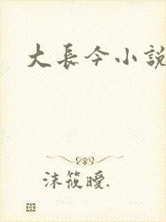 大长今小说下载