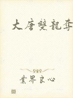 大唐双龙夺艳记